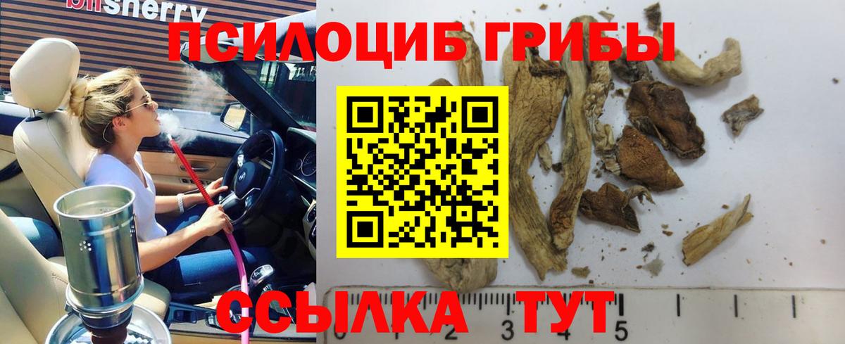 Псилоцибиновые грибы Magic Shrooms  Псилоцибиновые грибы Psilocybe  Вход с VPN  Стрежевой 