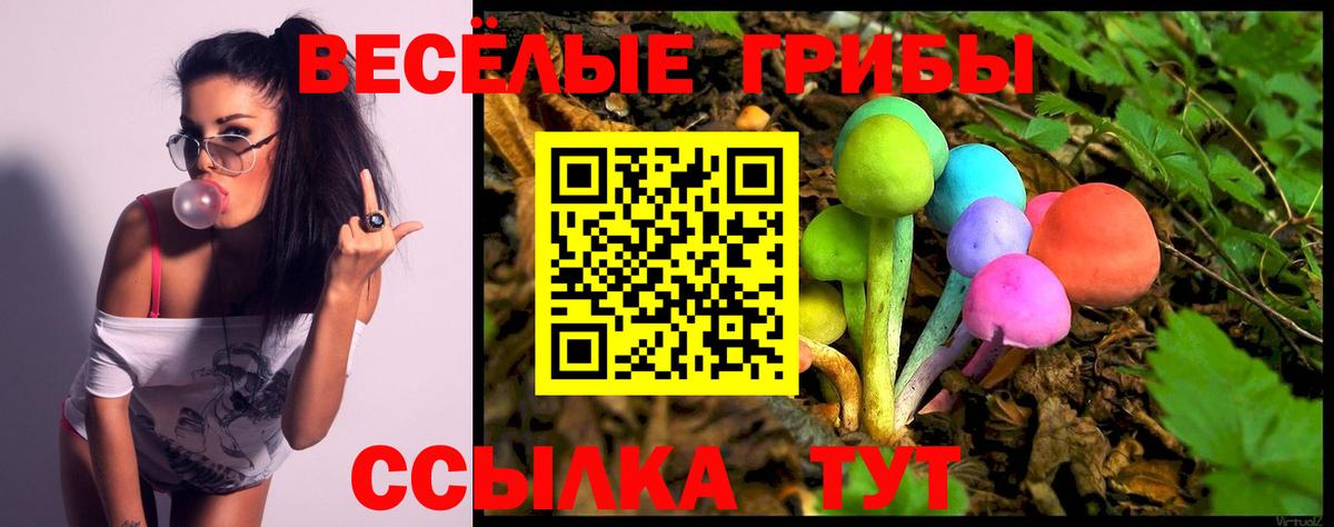 Галлюциногенные грибы мицелий Стрежевой